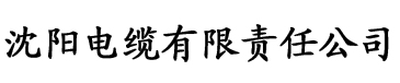 成全动漫影视大全电缆厂logo